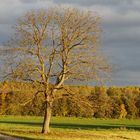 Herbstliche Abendstimmung