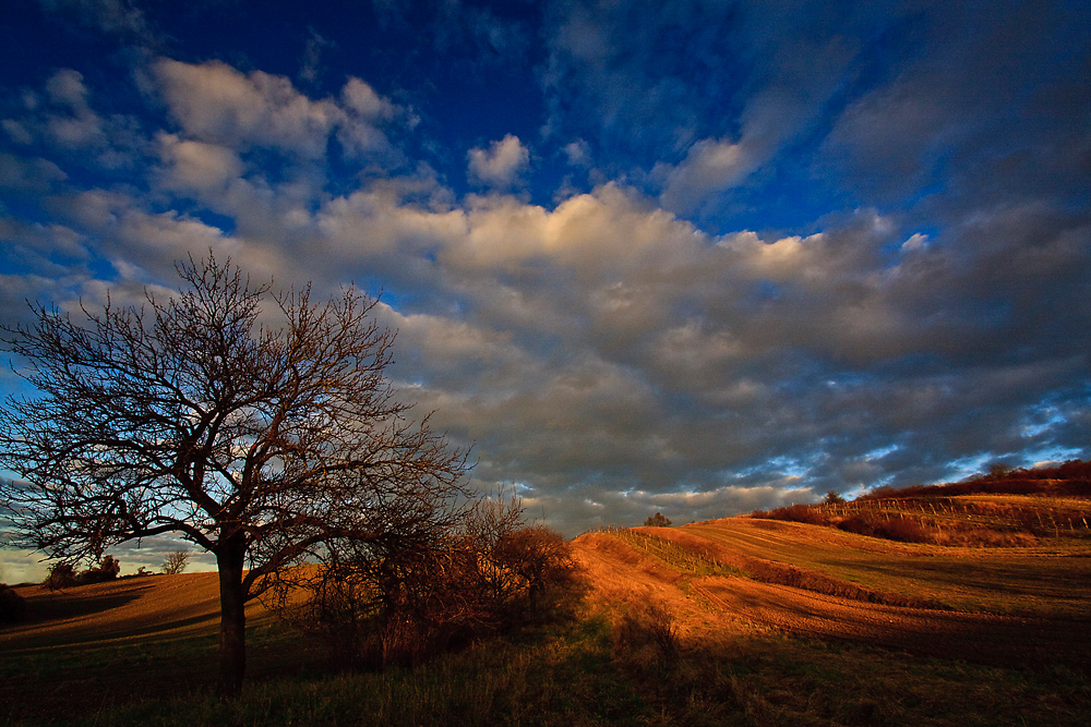 Herbstliche Abendstimmung