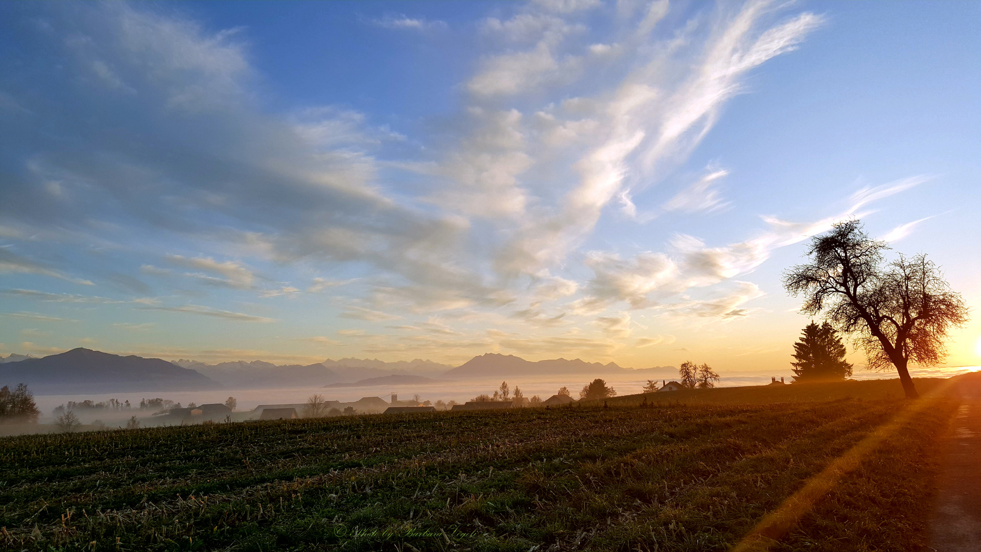 herbstliche Abendstimmung