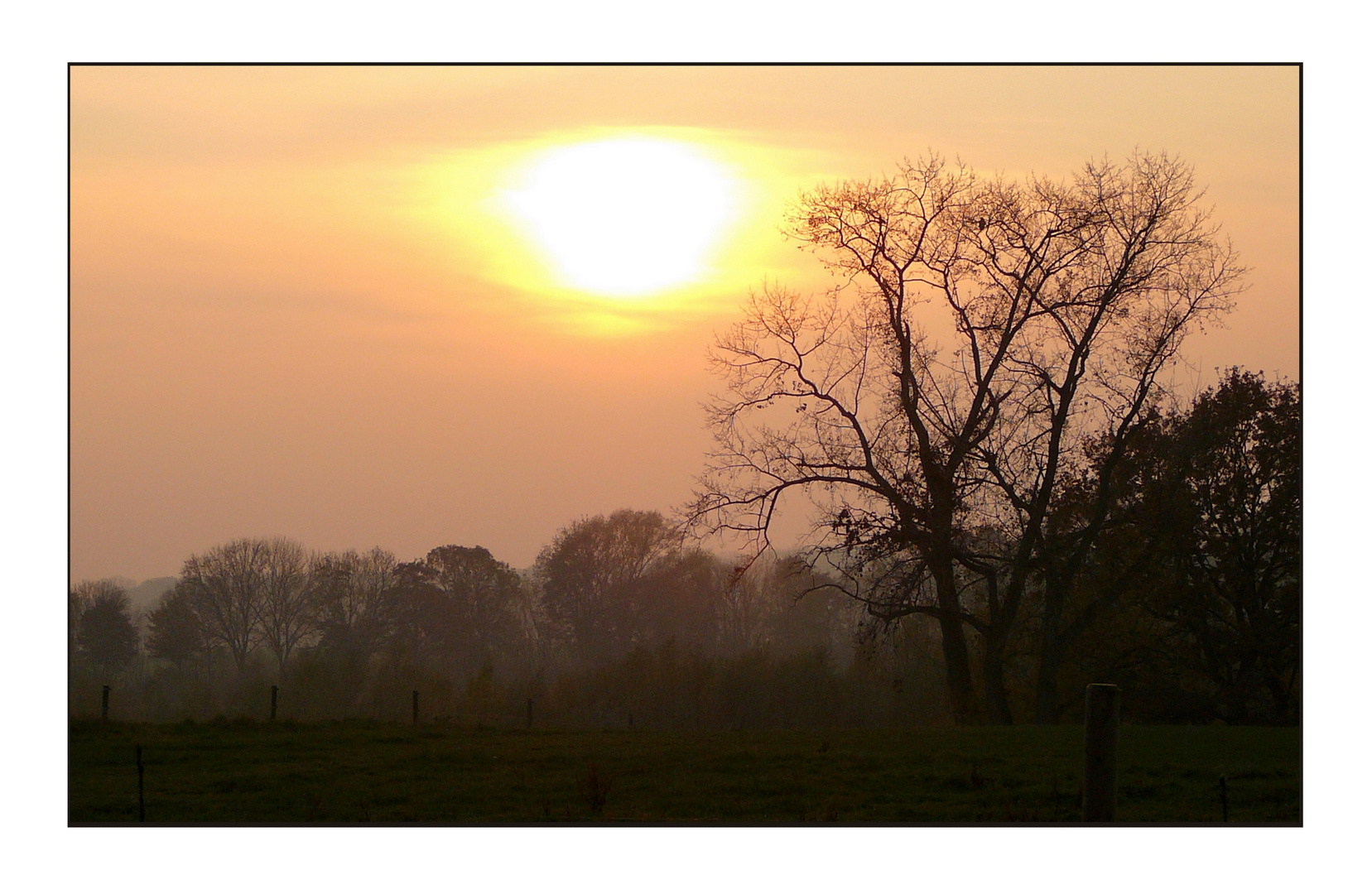 herbstliche Abendstimmung