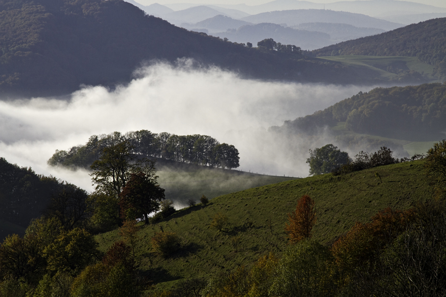 Herbstliche Abendstimmung im Kanton Solothurn