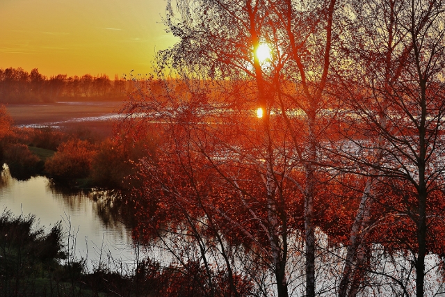 Herbstliche Abendstimmung in der Lewitz