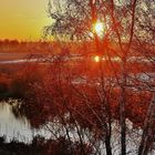 Herbstliche Abendstimmung in der Lewitz