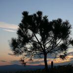 Herbstliche Abendstimmung in der Pfalz