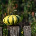 Herbstliche Abendstimmung mit Kürbis 