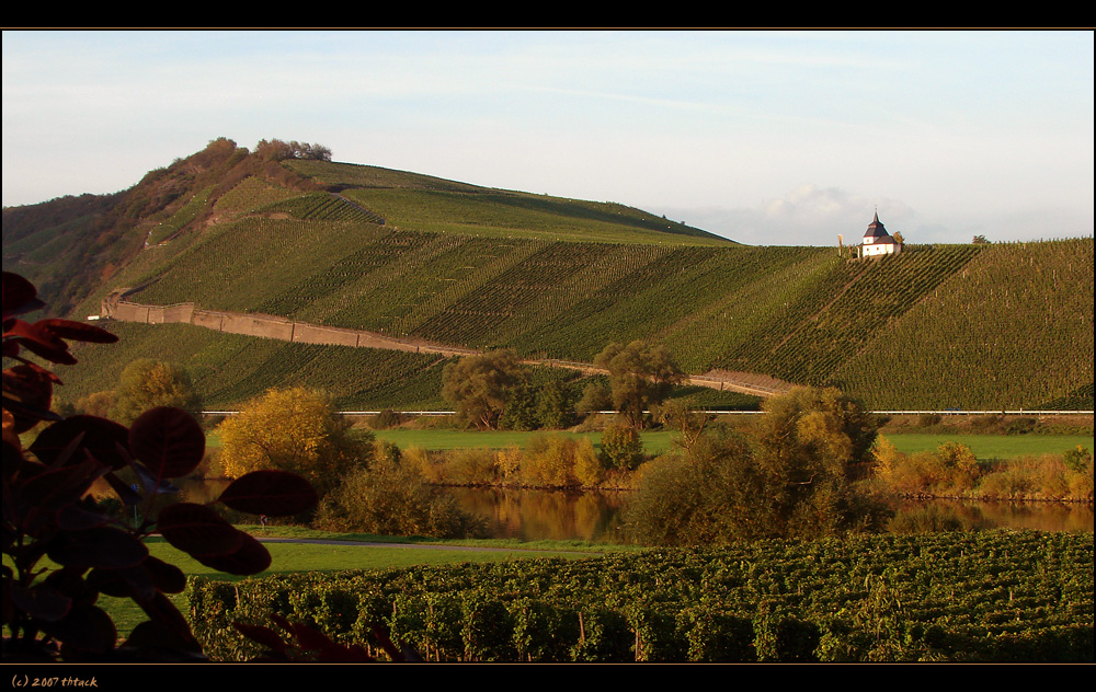 Herbstliche Abendstmmung an der Mosel