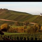 Herbstliche Abendstmmung an der Mosel