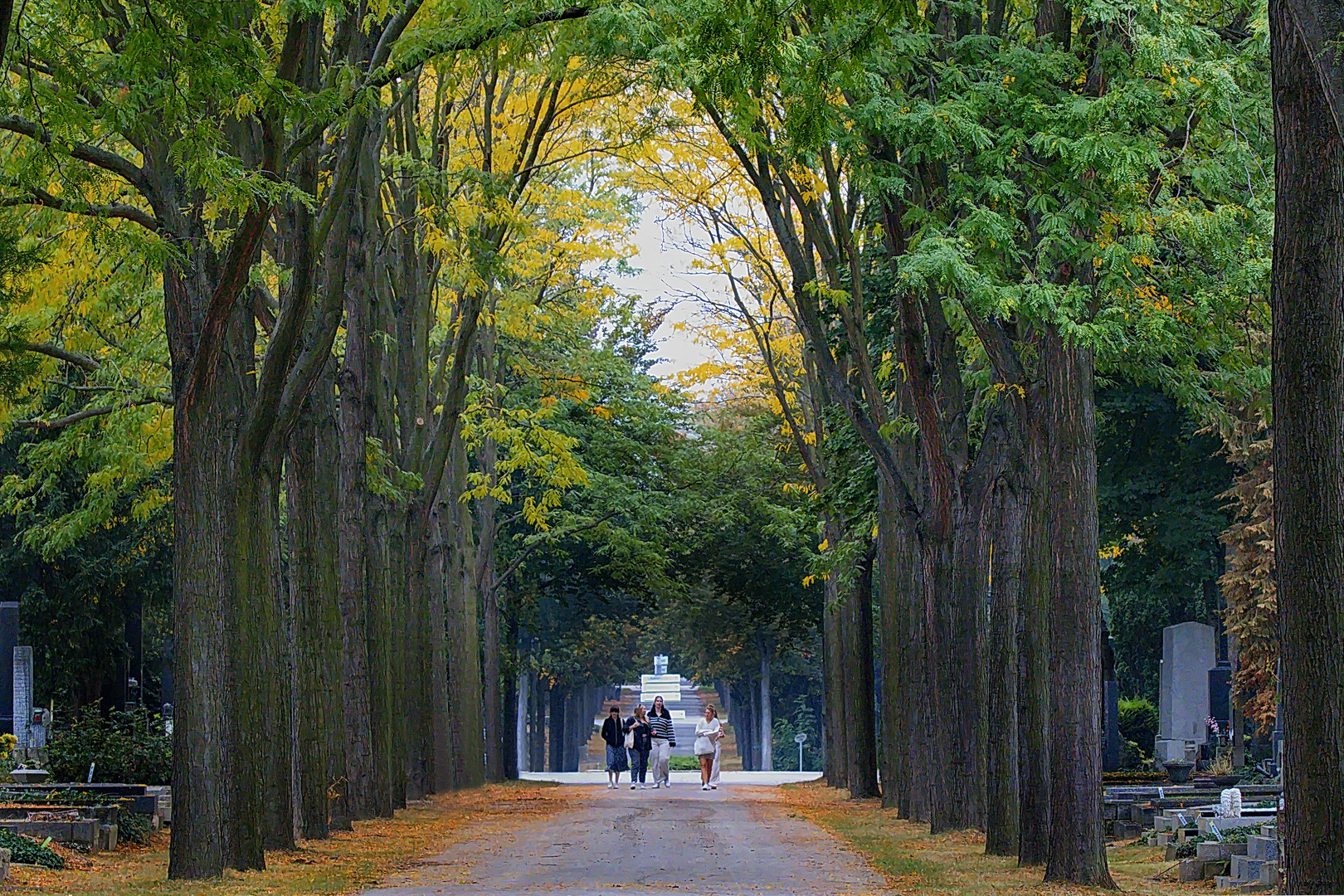 Herbstliche Allee