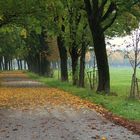 Herbstliche Allee