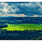 Herbstliche Allee bei Königstein