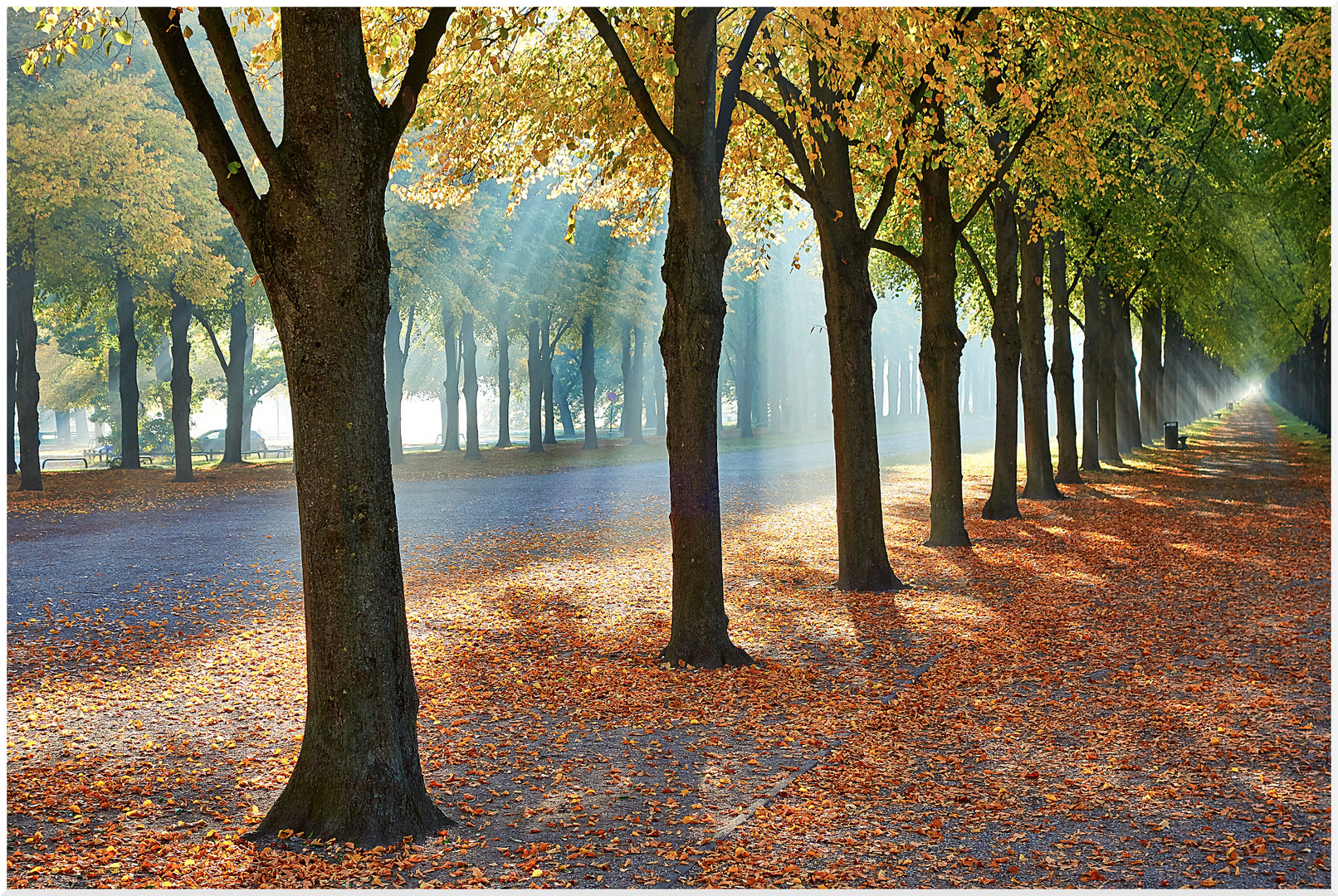 Herbstliche Allee