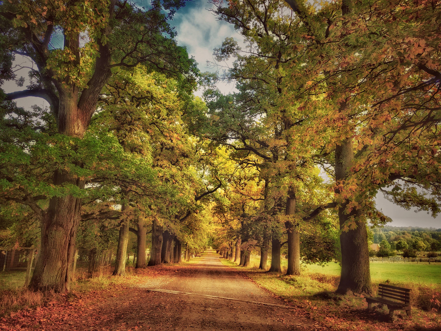 Herbstliche Allee