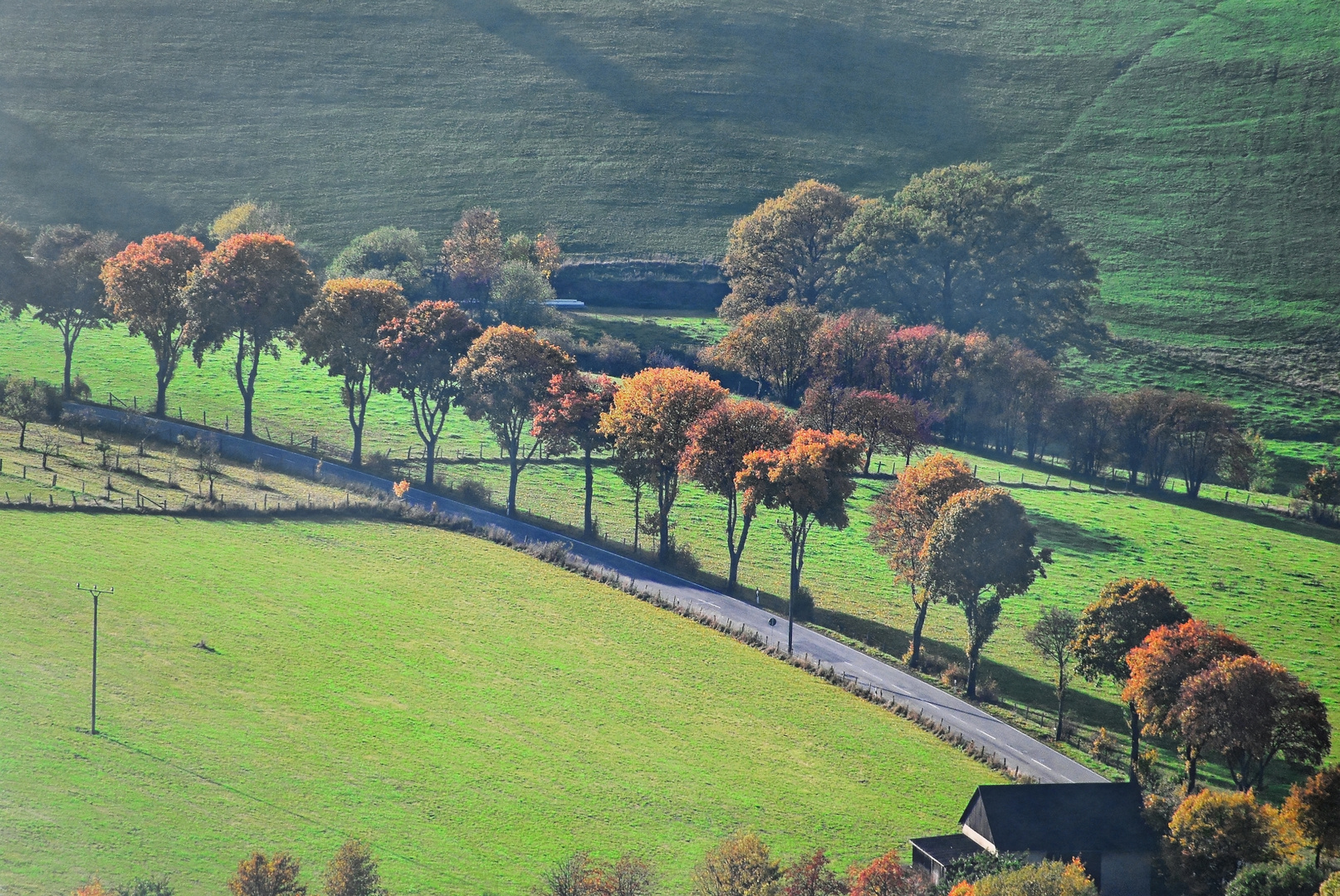 Herbstliche Allee im Sauerland