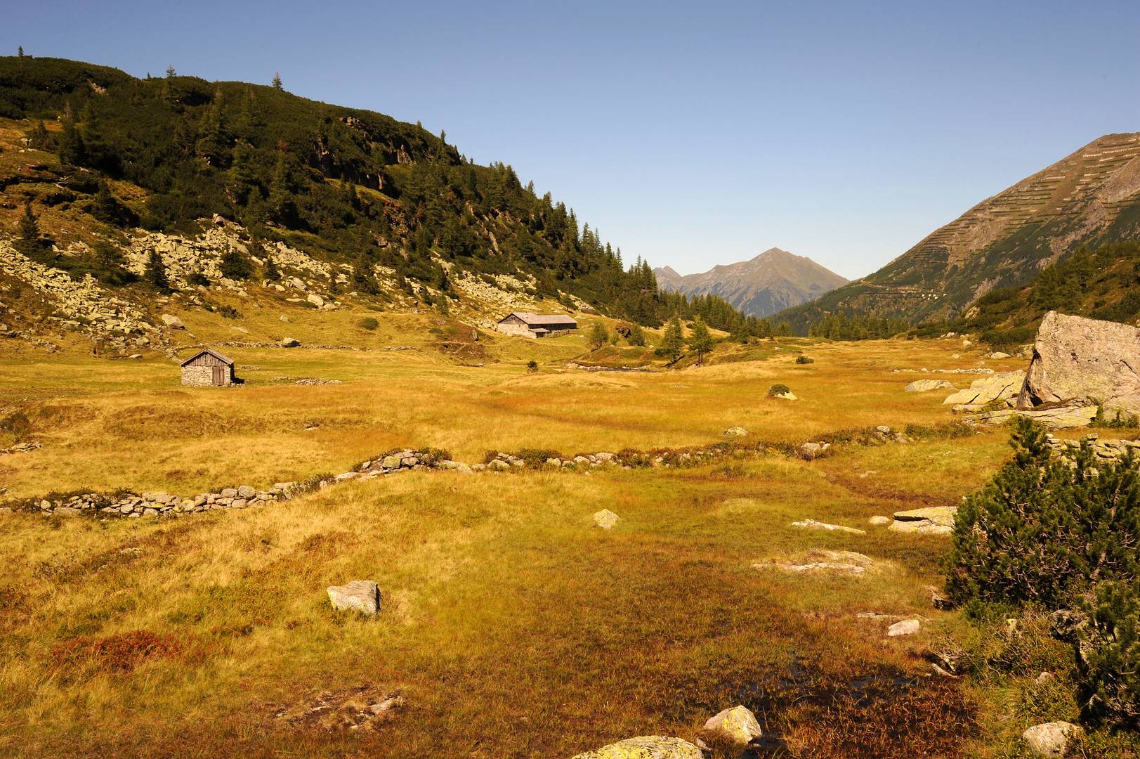 Herbstliche Alm