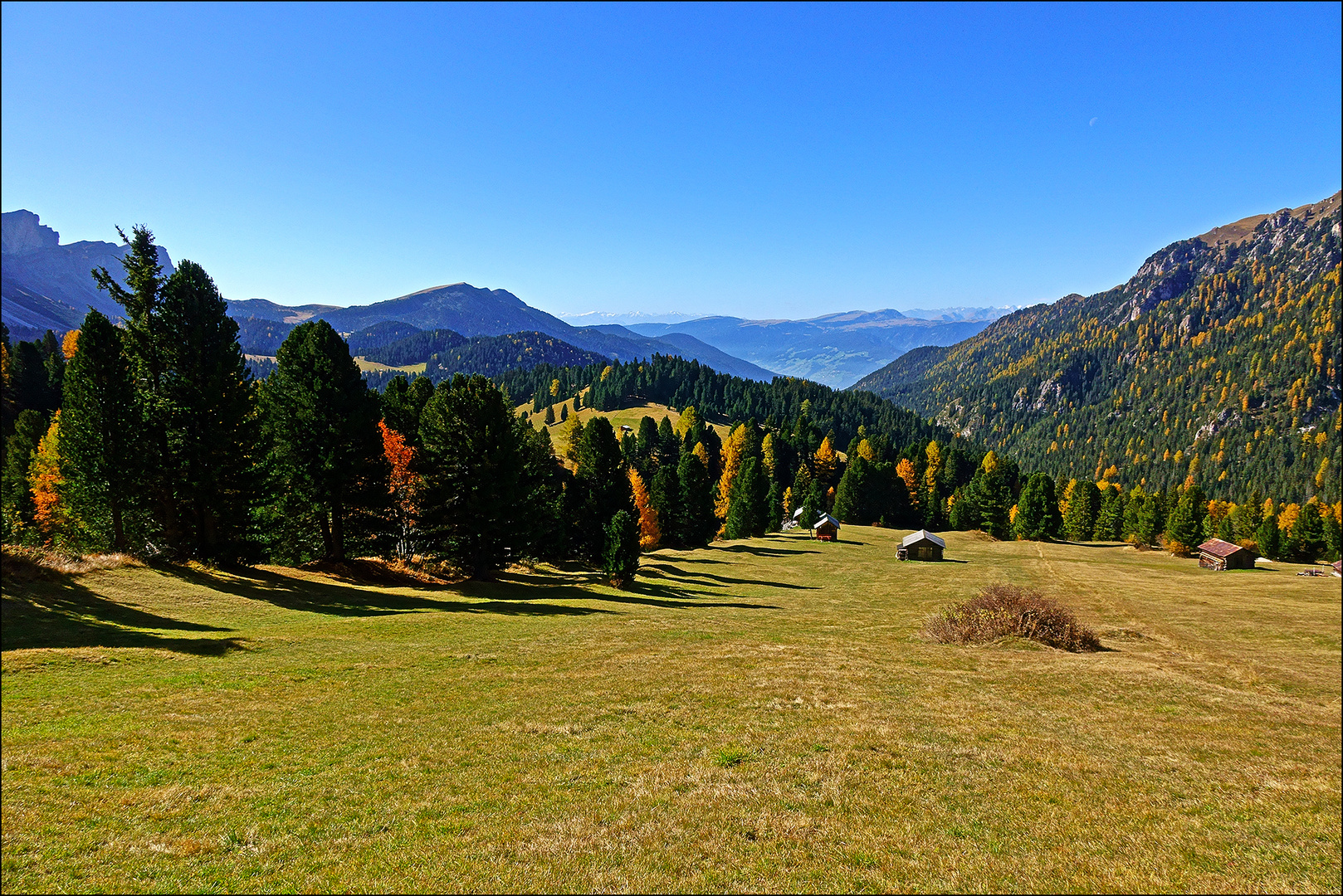 Herbstliche Alm mit Weitblick