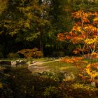 Herbstliche Ansicht im Japangarten