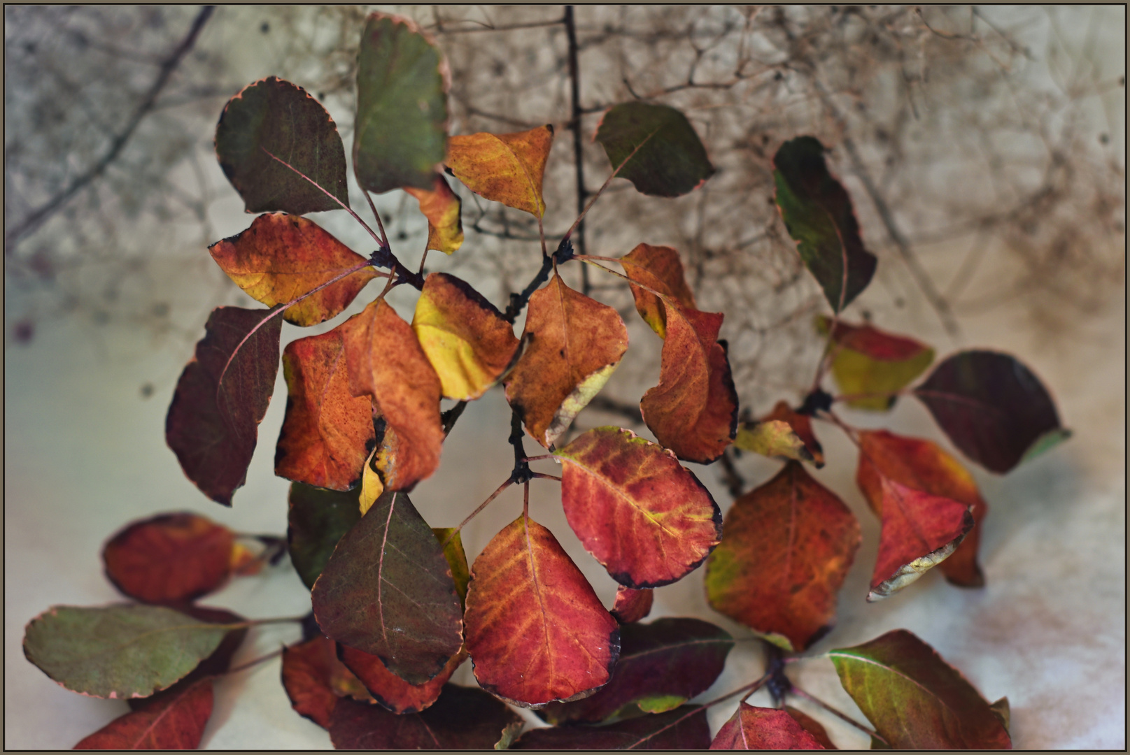 Herbstliche Arbeit