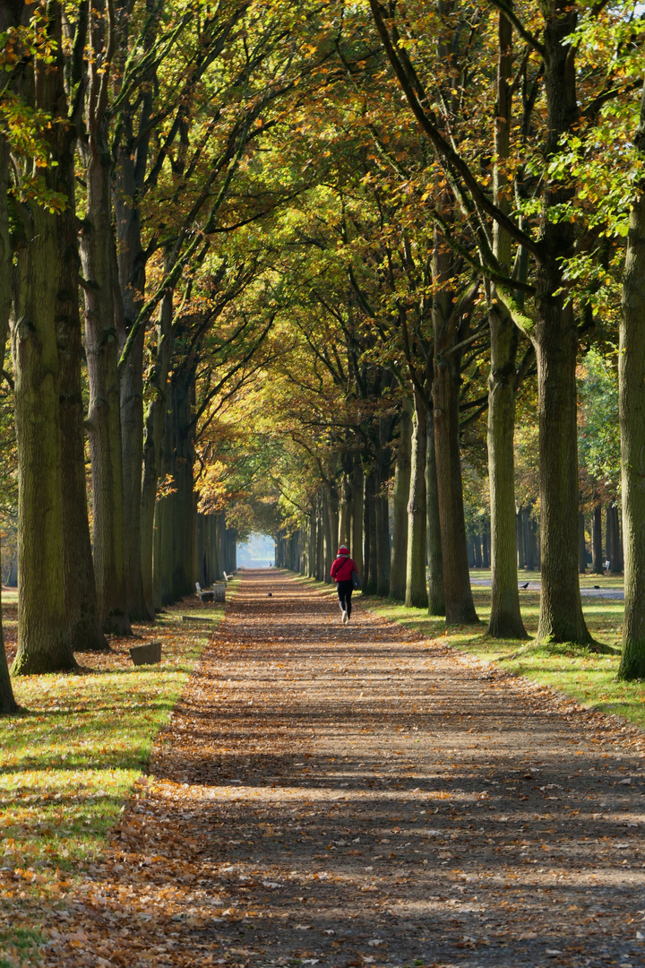 _________Herbstliche Aue________