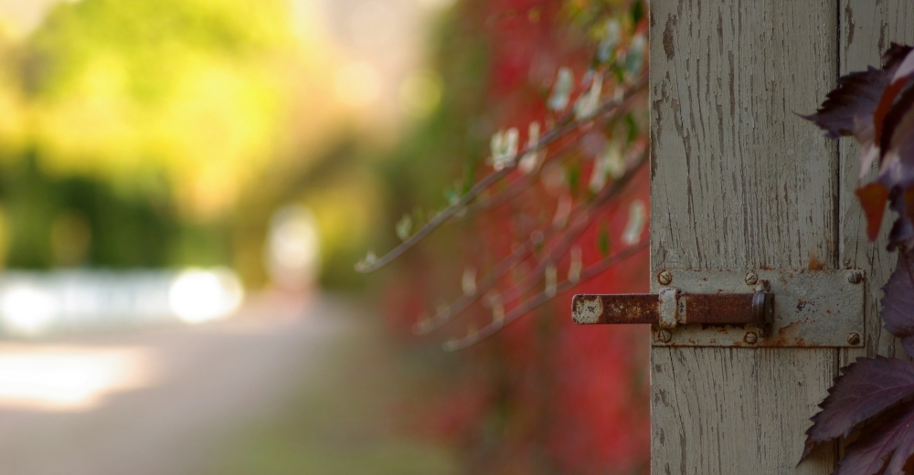 Herbstliche Augenblicke