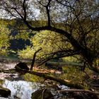 Herbstliche Augenblicke , Leopoldsteinersee.