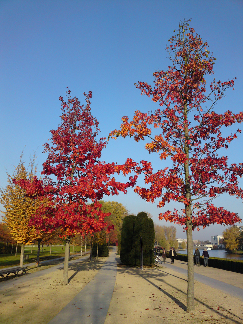 Herbstliche Augenweiden ..... mitten in Berlin