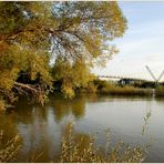 Herbstliche Aulandschaft