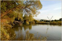 Herbstliche Aulandschaft