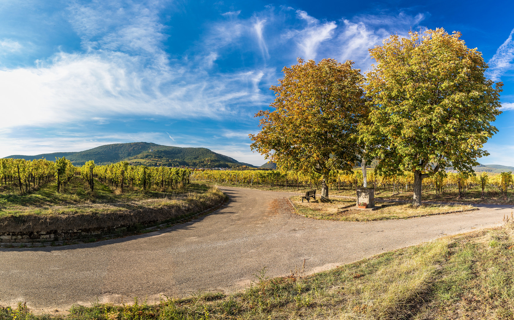 Herbstliche Ausblicke