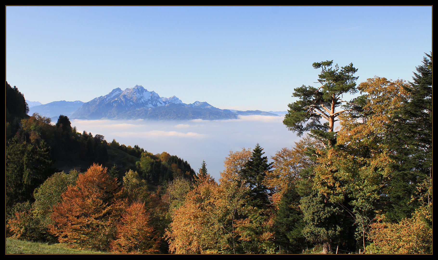 Herbstliche Aussicht