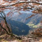 herbstliche Aussicht