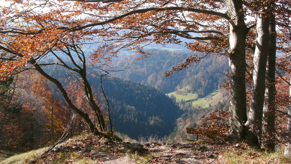 herbstliche Aussicht