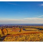 Herbstliche Aussicht von der Villa Ludwigshöhe