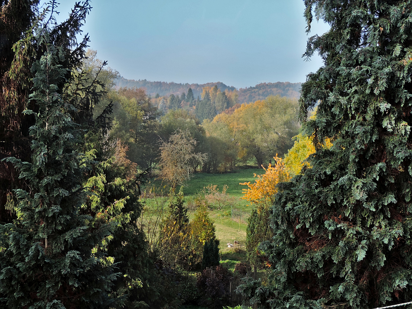 Herbstliche Aussicht zu Hause