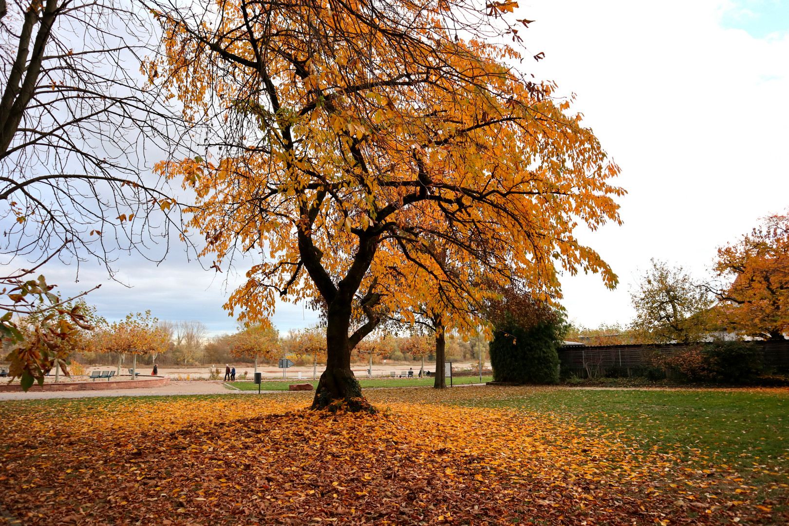 Herbstliche Aussichten 3