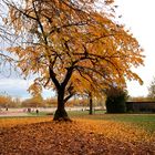 Herbstliche Aussichten 3