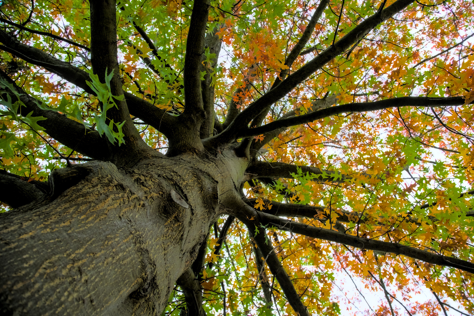 Herbstliche Aussichten