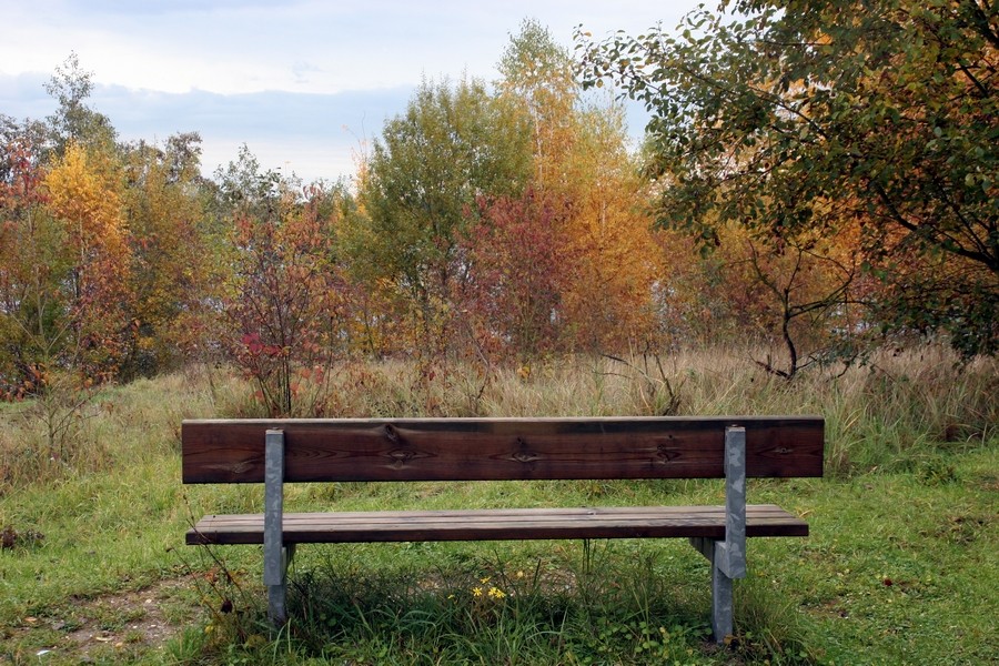 Herbstliche Aussicht(en)