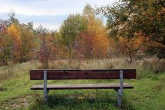 Herbstliche Aussicht(en)