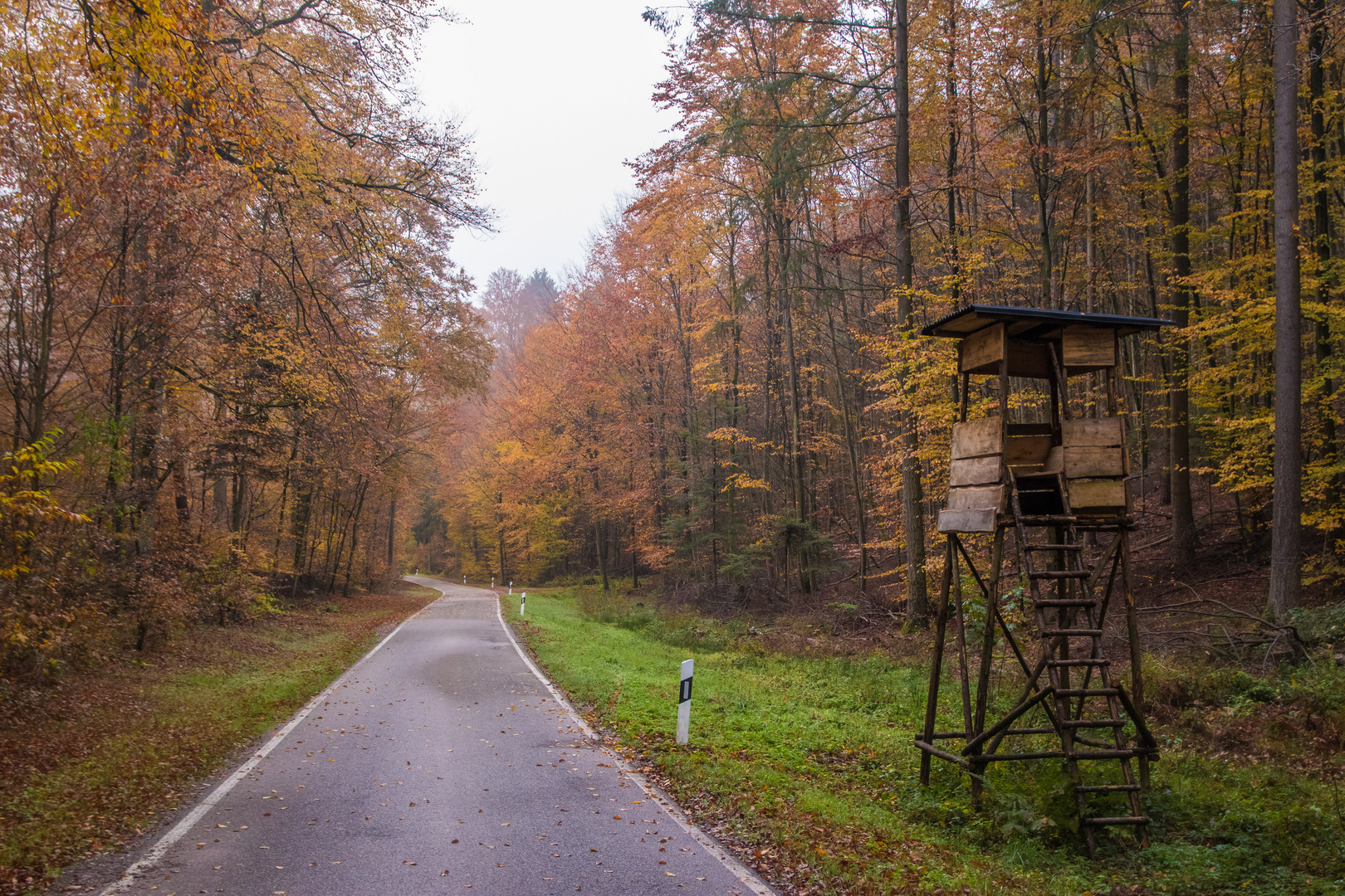 Herbstliche Aussichten