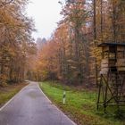 Herbstliche Aussichten