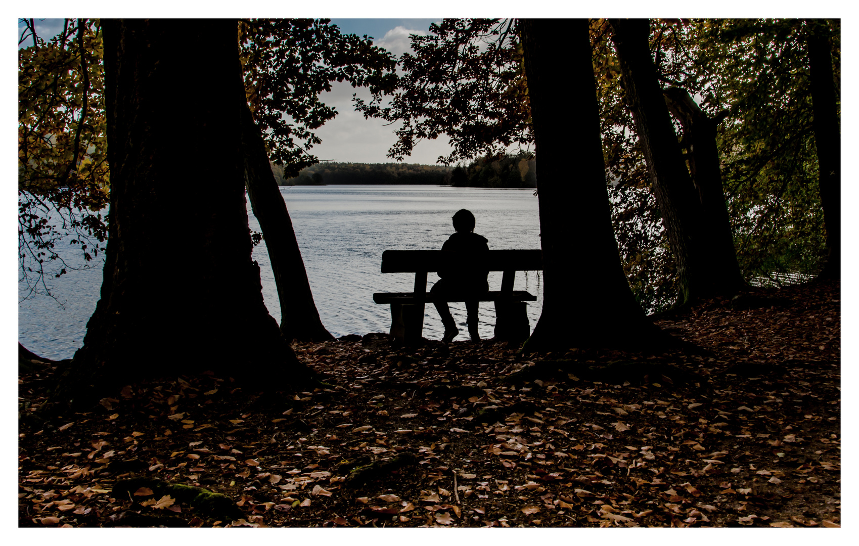 Herbstliche Aussichtssache