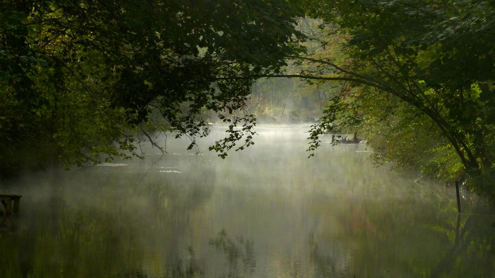 herbstliche Bachlandschaft