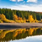 Herbstliche Bäume spiegeln sich im Stausee in Bütgenbach