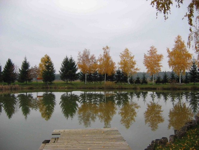 Herbstliche Bäume spiegeln sich im Teich