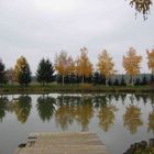 Herbstliche Bäume spiegeln sich im Teich