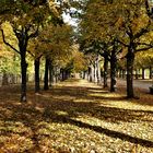 Herbstliche Baumallee im Schlosspark Charlottenburg.