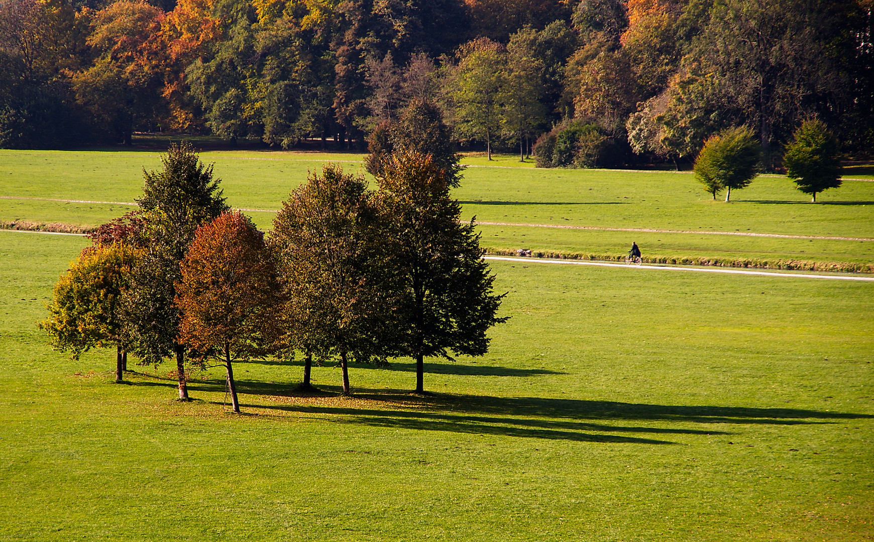 Herbstliche Baumgruppe im Englischen Garten