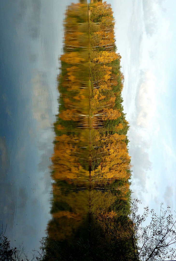 Herbstliche Baumsäule