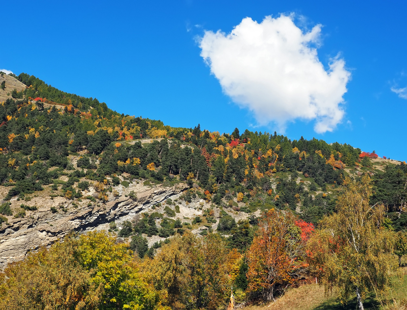 Herbstliche Berggegend!