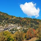 Herbstliche Berggegend!